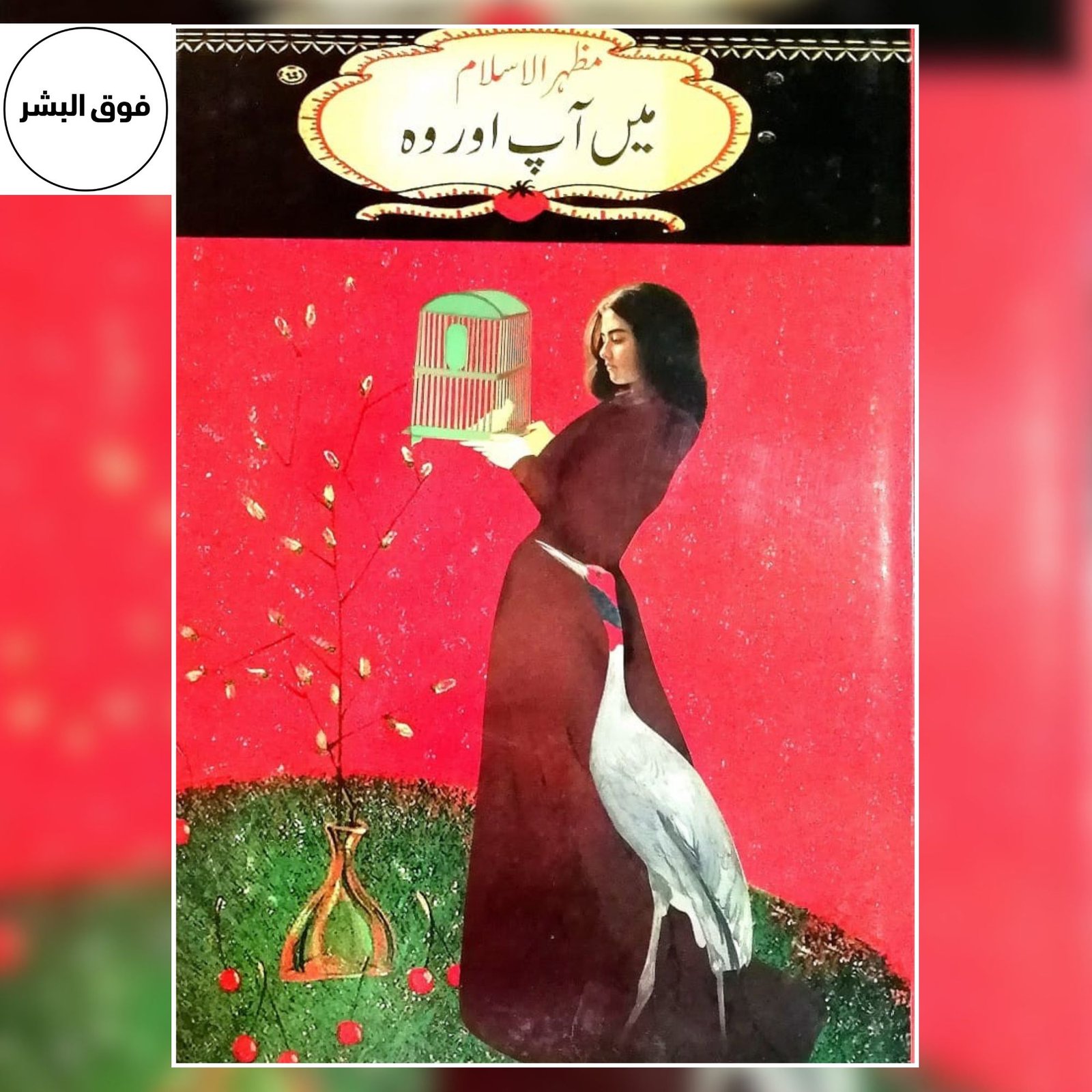 Main, Aap Aur Woh | میں، آپ اور وہ | Mazhar ul Islam